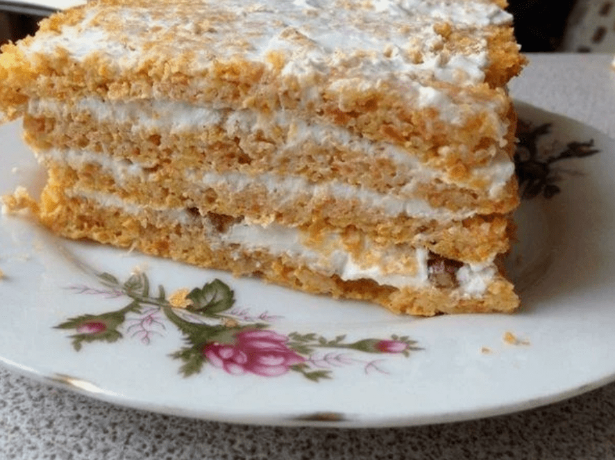 Nuttige cake